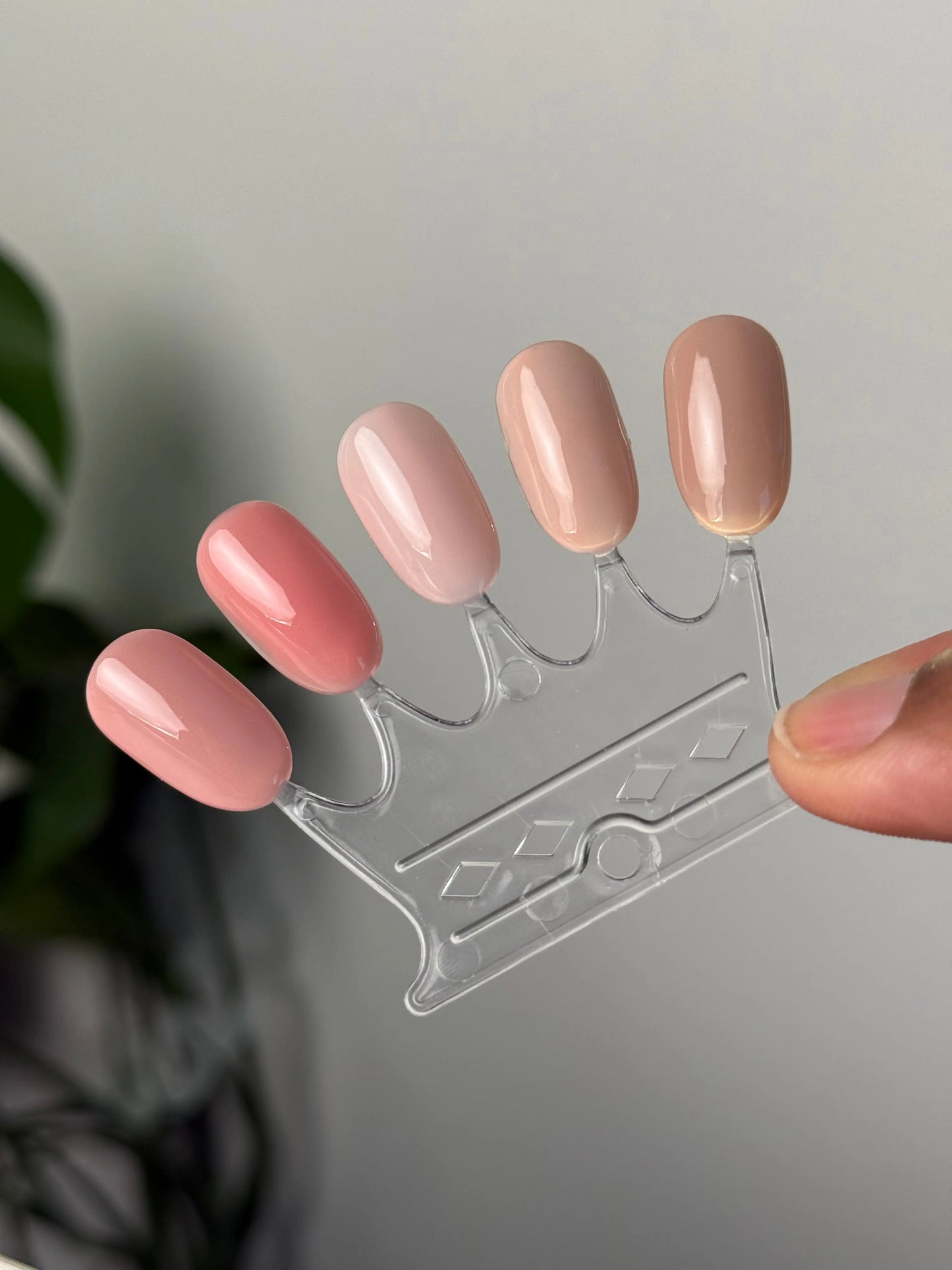 Sample of Shade Finder Kit with 5 different pink nude colors